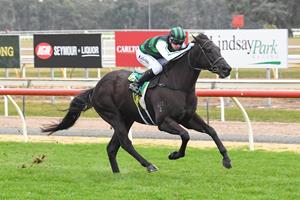 NEWCOMER FIRES ON STABLE DEBUT